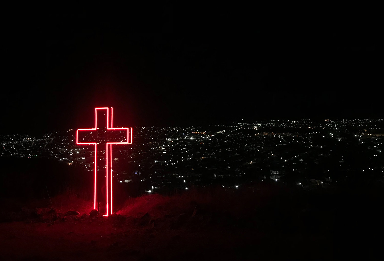 The True Vine (Audio)